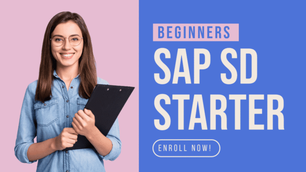 SAP SD Starter